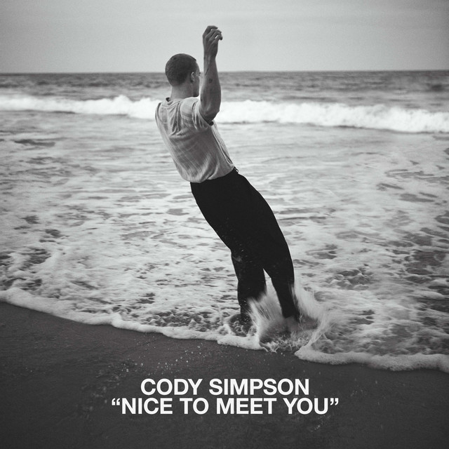 Cody Simpson — Nice to Meet You cover artwork