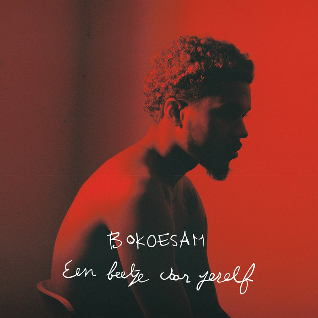 Bokoesam Een Beetje Voor Jezelf cover artwork
