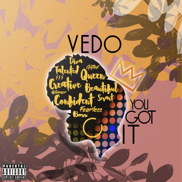 Vedo — You Got It cover artwork