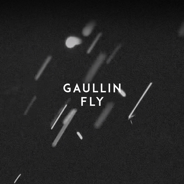 Gaullin — Fly cover artwork