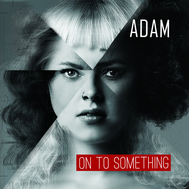 Adam — On To Something cover artwork
