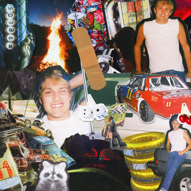 Fields — The Boy Next Door cover artwork
