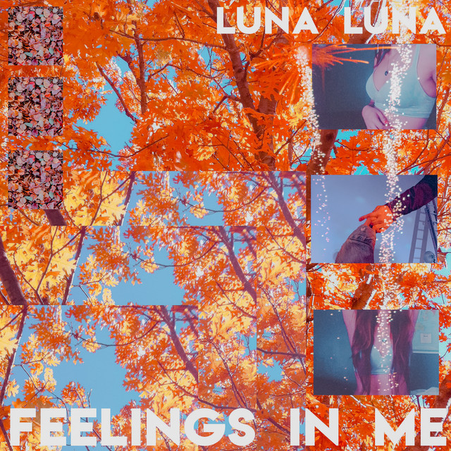 Luna Luna — Feelings in Me cover artwork