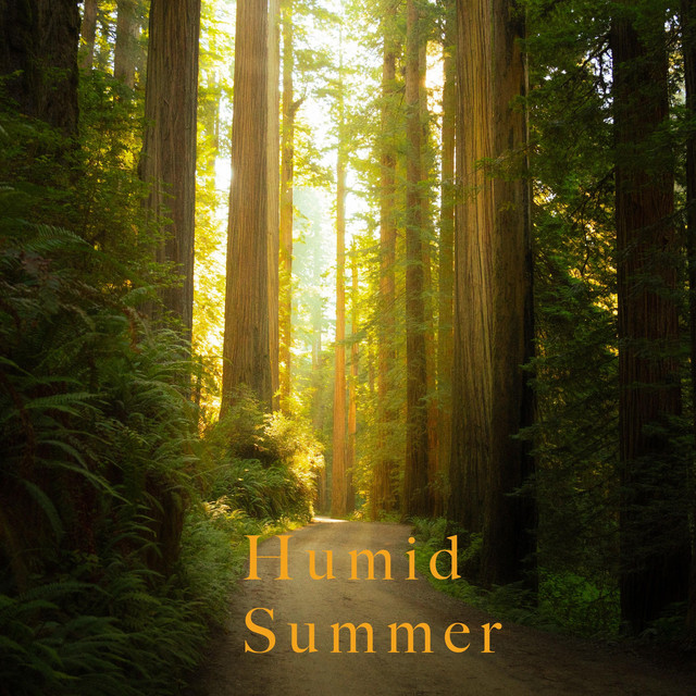 GUS — Humid Summer cover artwork