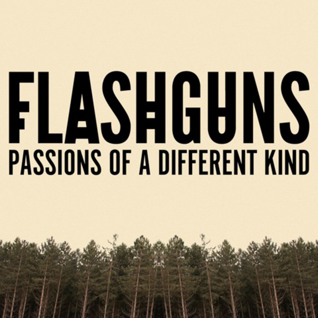 Flashguns Passions of a Different Kind cover artwork