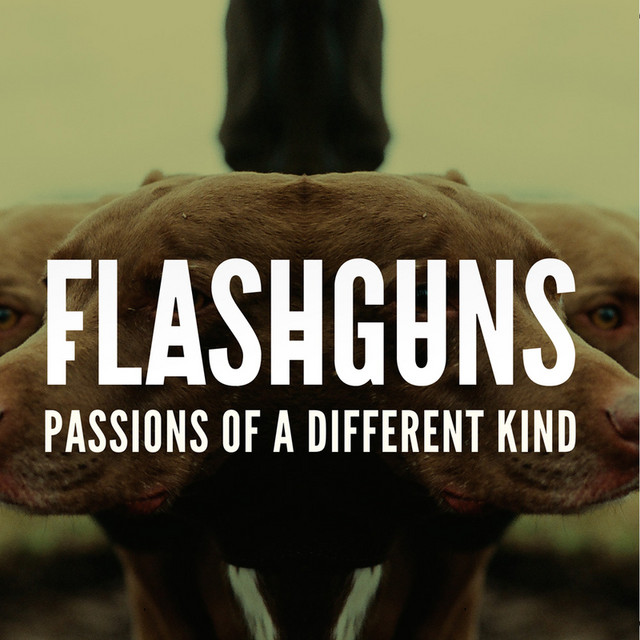 Flashguns — Passions of a Different Kind cover artwork