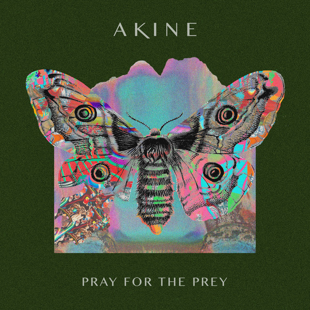 Akine Pray for the Prey cover artwork