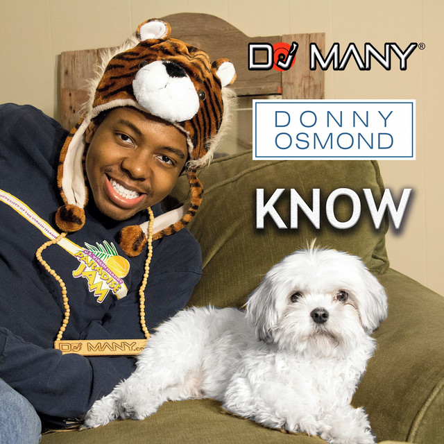 DJ Many & Donny Osmond — Know cover artwork