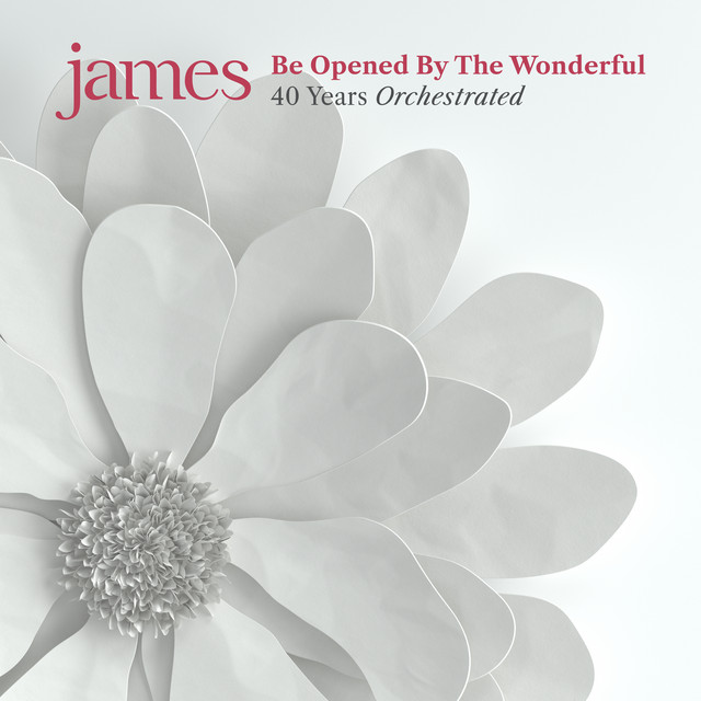 James Be Opened by the Wonderful cover artwork