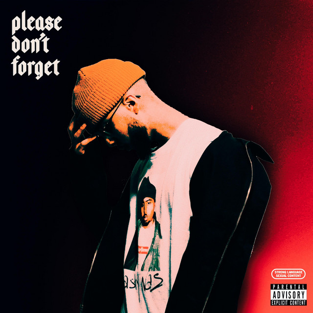 OG97 Please Don't Forget cover artwork