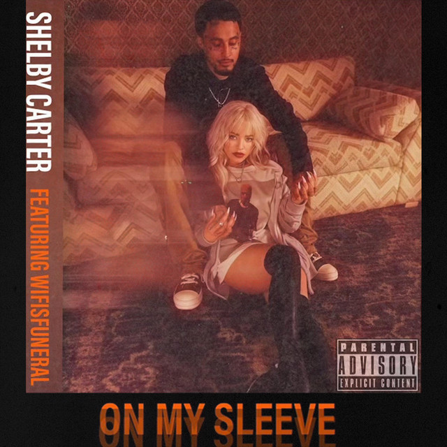Shelby Carter featuring Wifisfuneral — On My Sleeve cover artwork