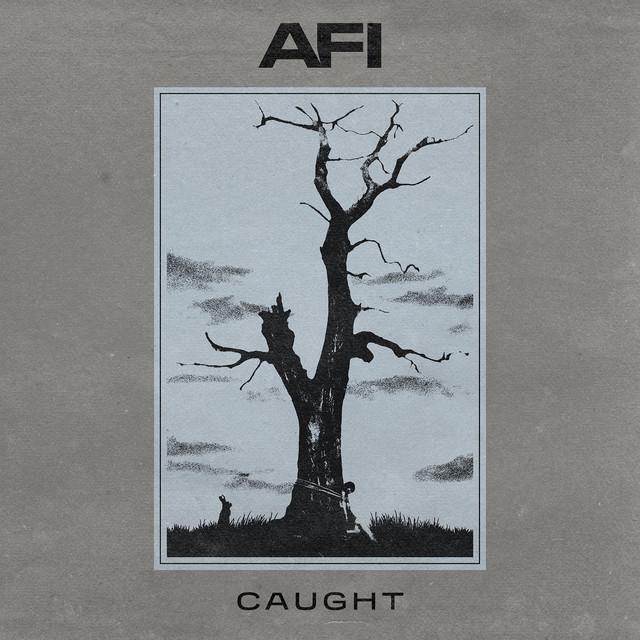AFI Caught cover artwork
