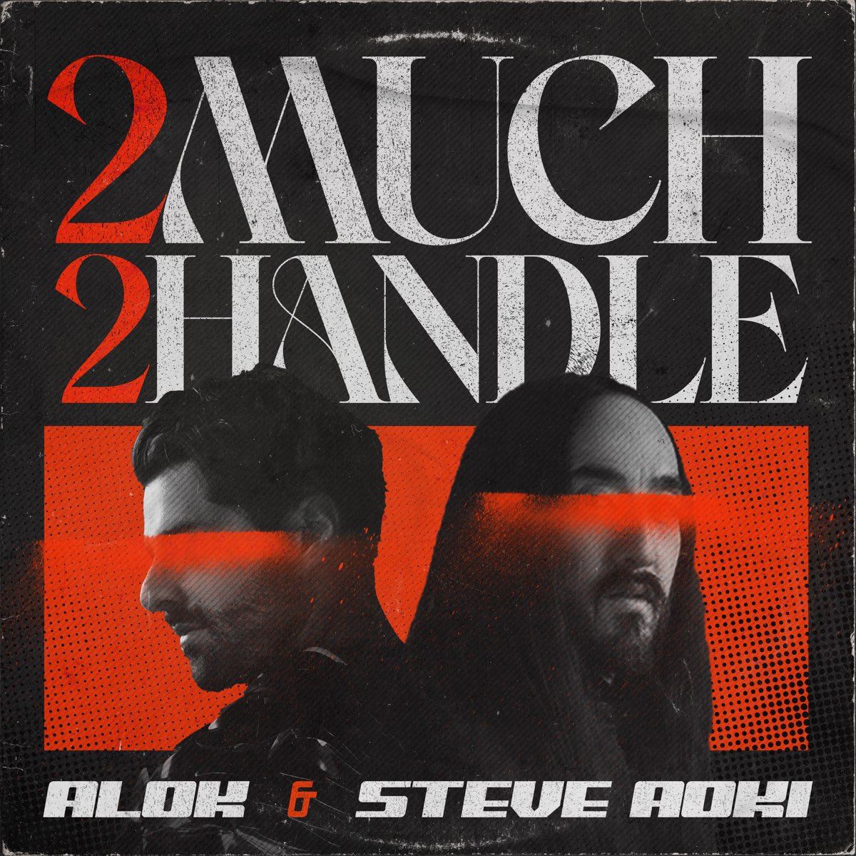 Alok & Steve Aoki — 2 Much 2 Handle cover artwork