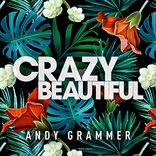 Andy Grammer Crazy Beautiful EP cover artwork