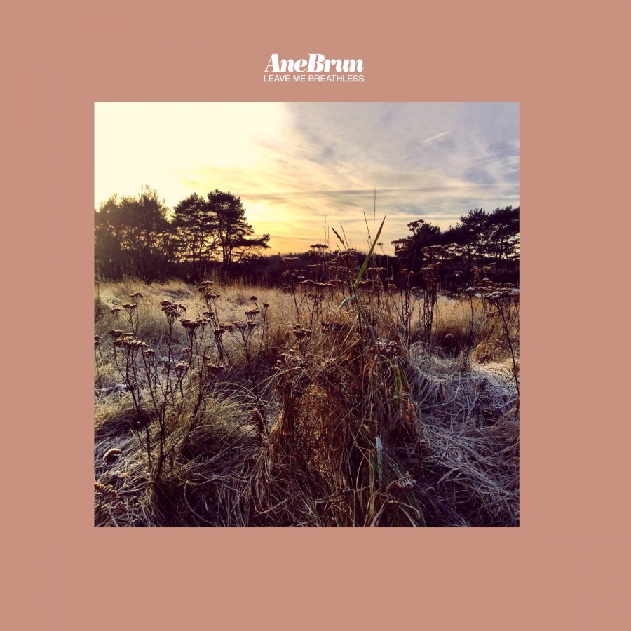 Ane Brun — Girl From The North Country cover artwork
