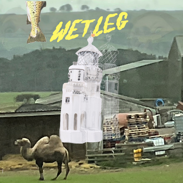 Wet Leg — Angelica cover artwork