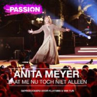 Anita Meyer — Laat Me Nu Toch Niet Alleen cover artwork