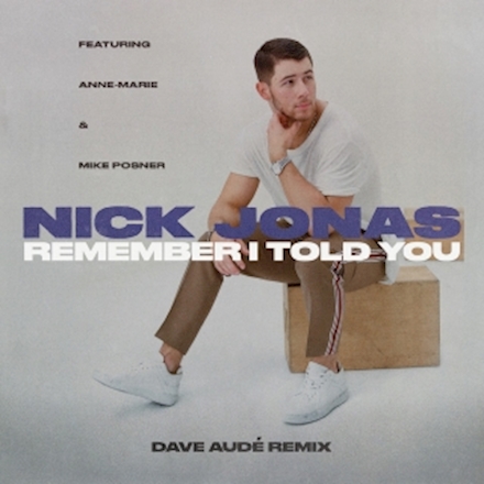 Nick Jonas ft. featuring Anne-Marie & Mike Posner Remember I Told You cover artwork