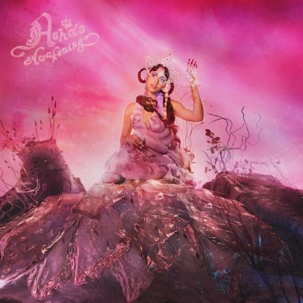 Raveena Asha&#039;s Awakening cover artwork