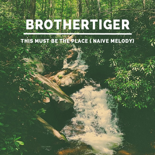 Brothertiger — This Must Be The Place (Naive Melody) cover artwork