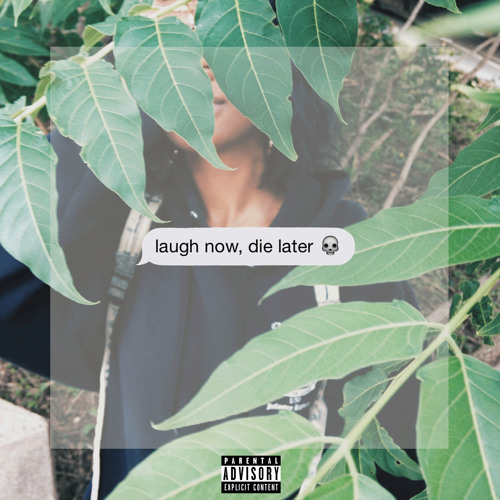 Kari Faux Laugh Now, Die Later cover artwork