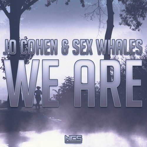 Jo Cohen & Whales — We Are cover artwork
