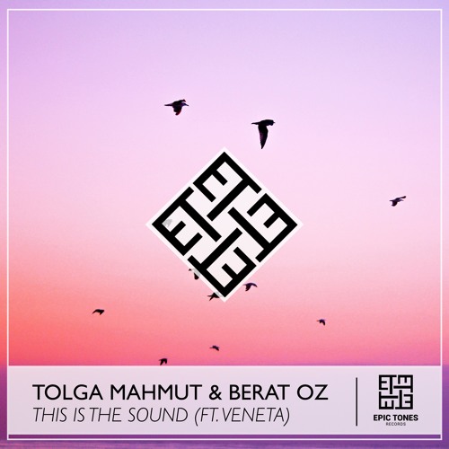 Tolga Mahmut & Berat Oz featuring Veneta — This Is The Sound cover artwork