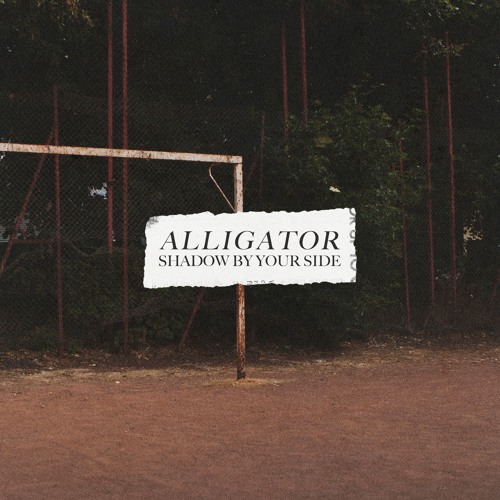 Alligator Shadow By Your Side cover artwork