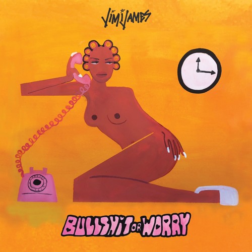 JIMIJAME$ — Bullshit or Worry cover artwork