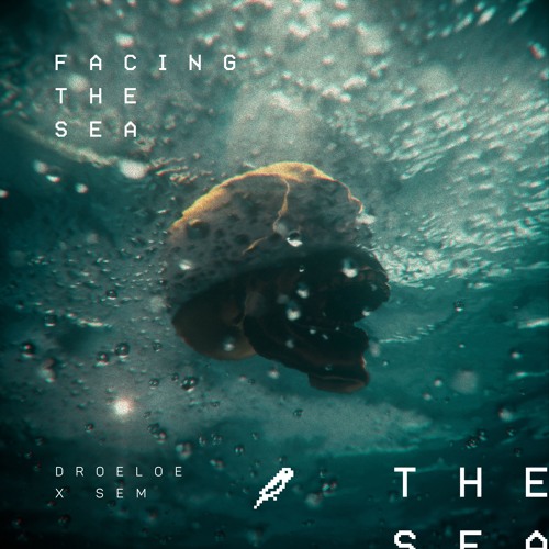 DROELOE & SEM Facing The Sea cover artwork