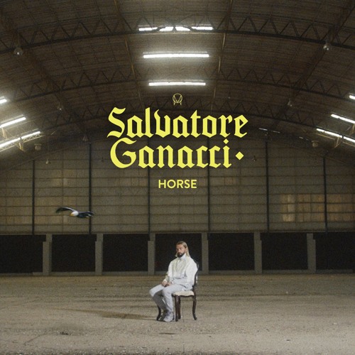 Salvatore Ganacci — Horse cover artwork