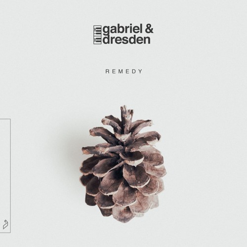 Gabriel &amp; Dresden Remedy cover artwork