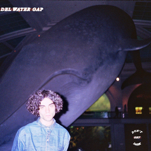Del Water Gap — Don&#039;t Say Nothing cover artwork