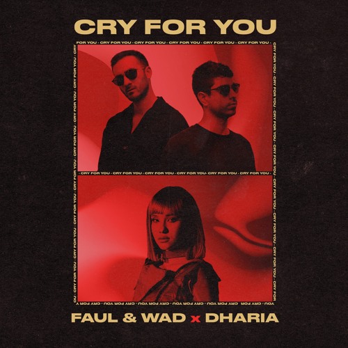 FAUL, WAD, & Dharia Cry For You cover artwork