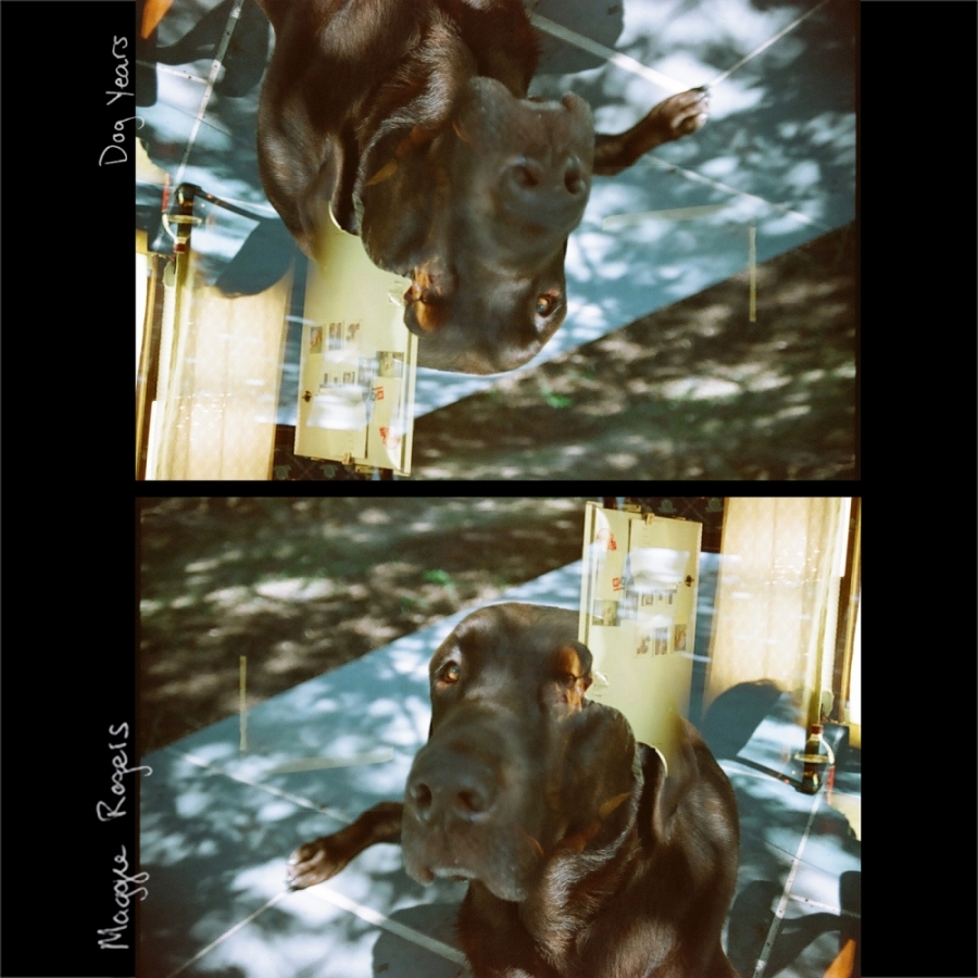 Maggie Rogers — Dog Years cover artwork