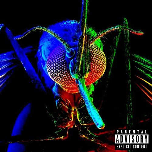 Lil Mosquito Disease Get Shot cover artwork