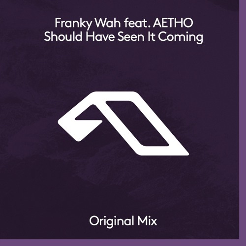 Franky Wah featuring AETHO — Should Have Seen It Coming cover artwork