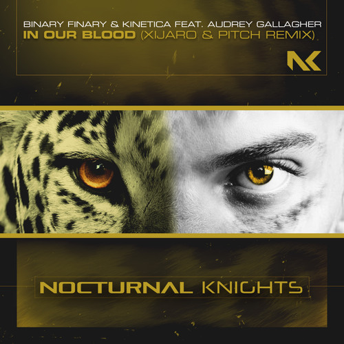 Binary Finary & Kinetica ft. featuring Audrey Gallagher In Our Blood (XiJaro &amp; Pitch Remix) cover artwork