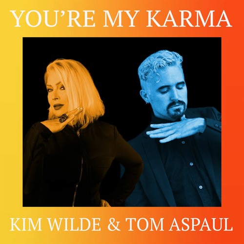 Kim Wilde & Tom Aspaul You&#039;re My Karma cover artwork