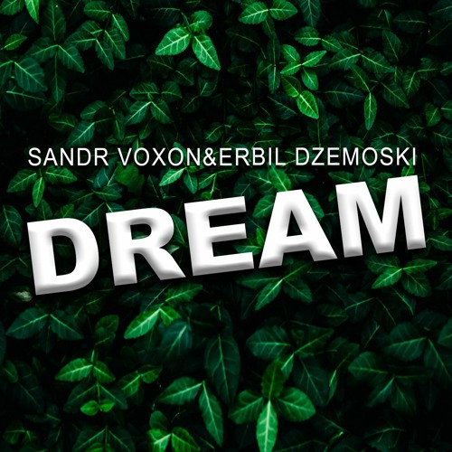 Sandr Voxon & Erbil Dzemoski Dream cover artwork