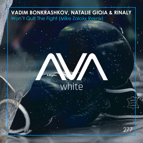 Vadim Bonkrashkov, Natalie Gioia, & Rinaly — Won&#039;t Quit The Fight (Mike Zaloxx Remix) cover artwork