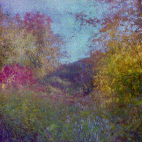 THUS LOVE — Centerfield cover artwork