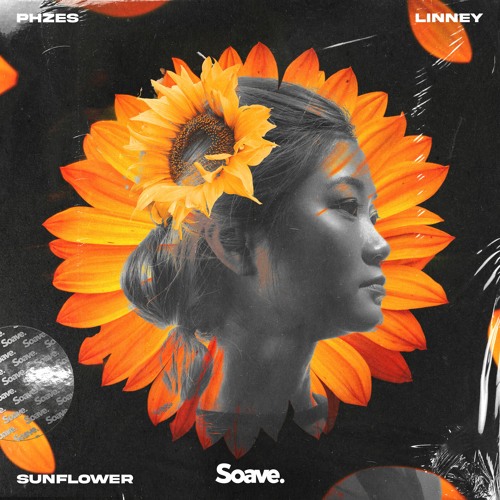 PHZES & Linney — Sunflower cover artwork