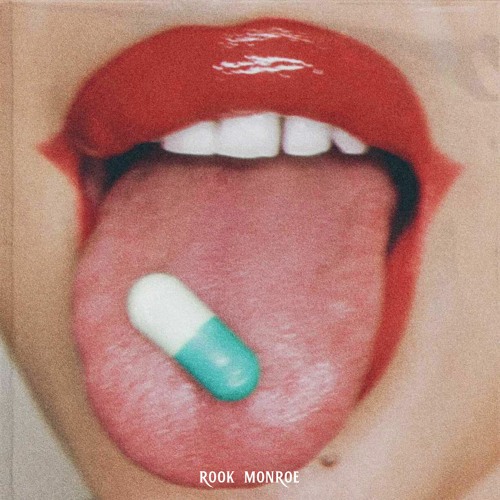 Rook Monroe — I Did Drugs For You cover artwork