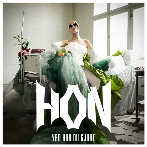 HON — Vad Har du Gjort cover artwork