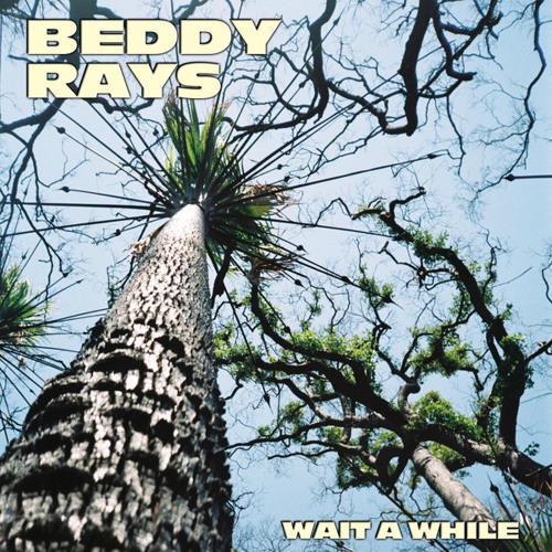 Beddy Rays Wait a While cover artwork