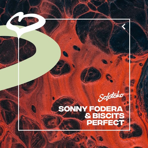 Sonny Fodera & Biscits — Perfect cover artwork