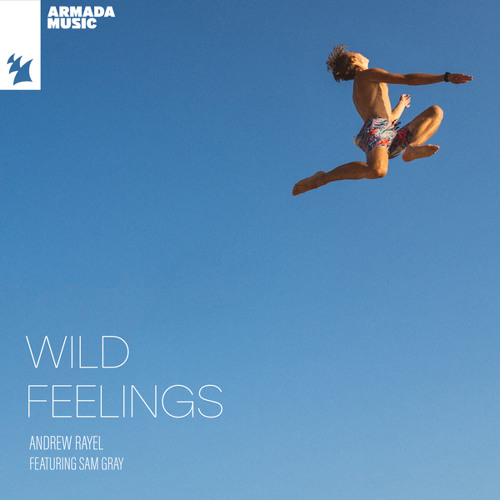 Andrew Rayel ft. featuring Sam Gray Wild Feelings cover artwork