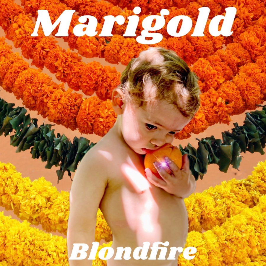 Blondfire Marigold cover artwork
