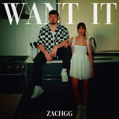 ZachGG — Want It cover artwork
